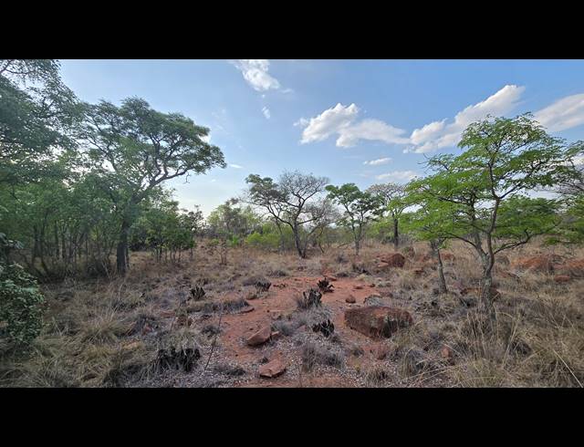 2,500M² VACANT LAND FOR SALE IN VERLOREN ESTATE